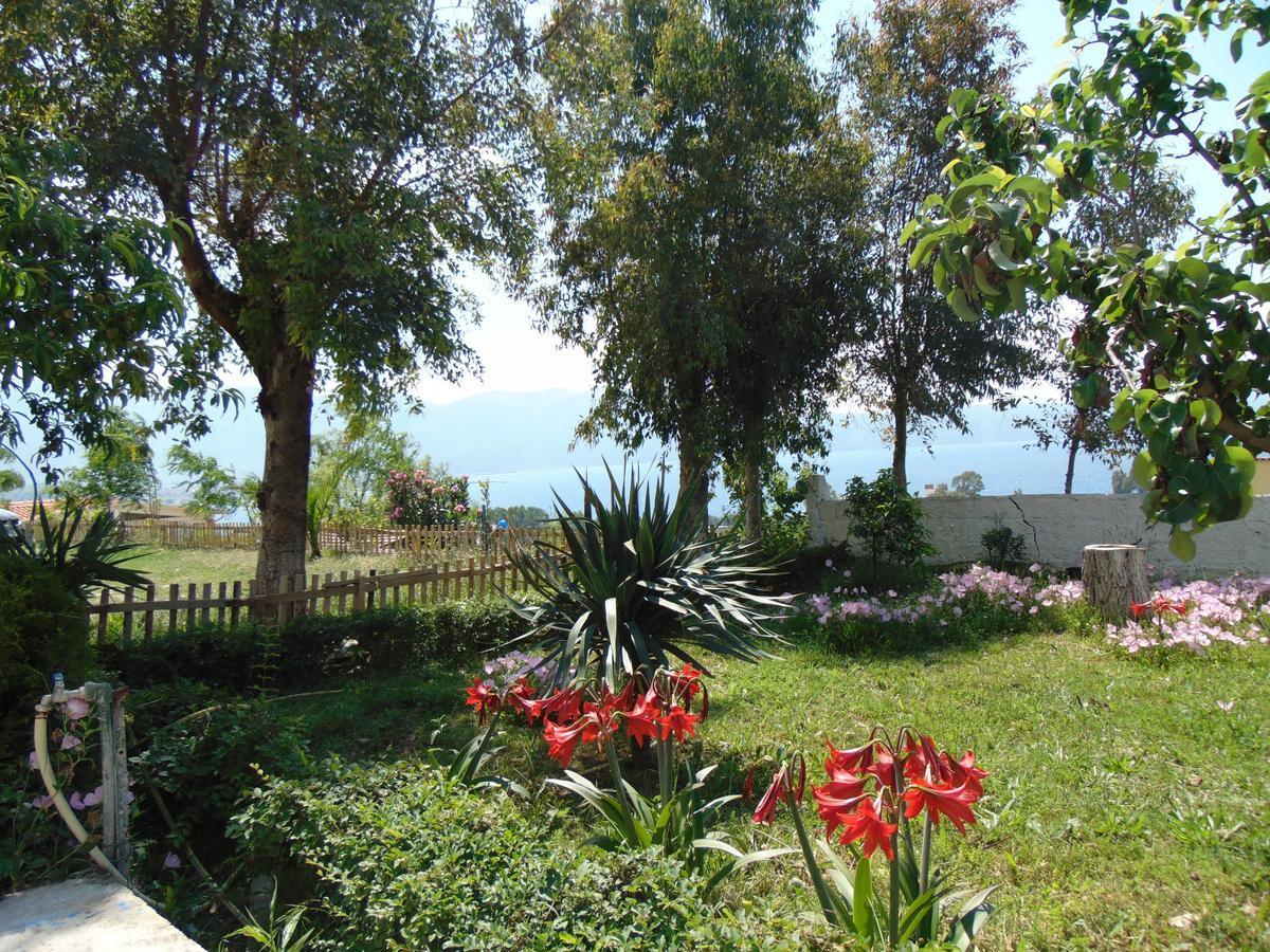 Residence Jazoj Vlorë Εξωτερικό φωτογραφία